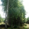 spacerkowe