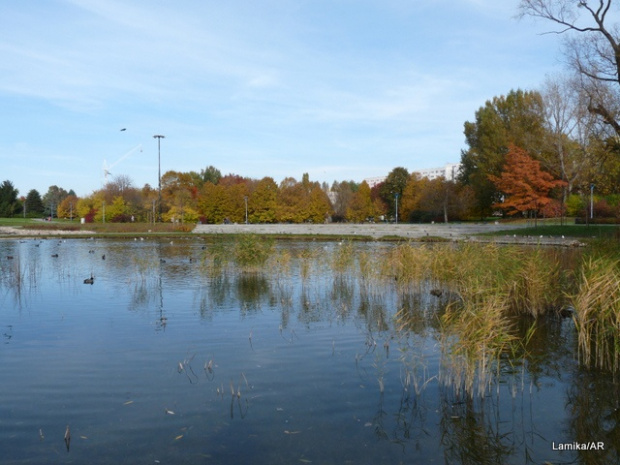 Park im. Szymańskiego