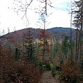 Przysłopek i Kudłoń z okolic przełęczy Borek #góry #beskidy #gorce #mostownica #HalaTurbacz