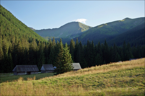 Dolina Chochołowska- 21 lipca 2013, na widoczny w dali Wołowiec wybraliśmy się następnego dnia #DolinaChochołowska #góry #Lipiec2013 #Tatry