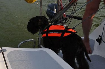 #Mazury #rejs #sznaucer #wakacje #żagle