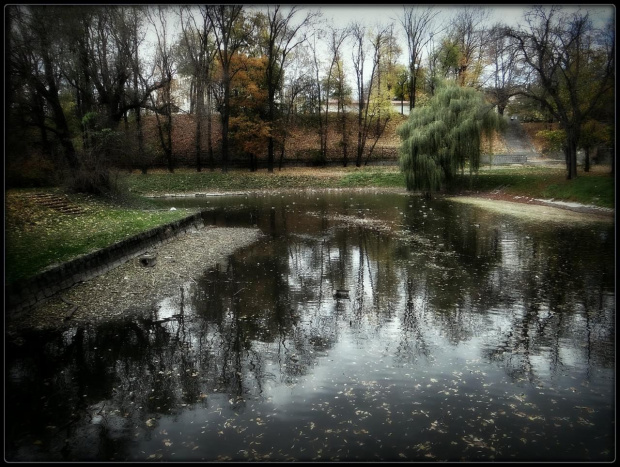 Zbiornik na rzece Witoszówce w Parku Centralnym w Świdnicy. Przed wojną - Zatoka Gondoli (Gondelteich), obecnie - zatoka śmieci. #DolnyŚląsk #Gondelteich #ParkCentralnyWŚwidnicy #Świdnica #Witoszówka #ZatokaGondoli #Schweidnitz
