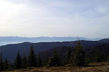 Tatry Zachodnie z polany Przysłop Dolny #góry #beskidy #gorce #bieniowe #gorc #przysłop