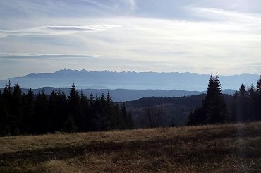 Tatry z polany Gorc Młynieński #góry #beskidy #gorce #bieniowe #gorc #przysłop