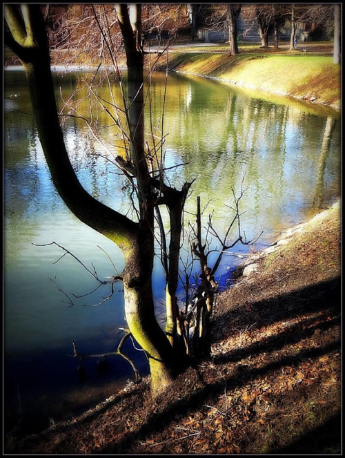 Park Centralny w Świdnicy - zbiornik na rzece Witoszówce. Przed wojną - romantyczna Zatoka Gondoli (Gondelteich) #DolnyŚląsk #Gondelteich #park #ParkCentralnyWŚwidnicy #Świdnica #Witoszówka #ZatokaGondoli