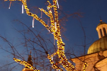 Kraków mało znany, zimy brak #Cracovia #Cracow #Kraków #winter #zima