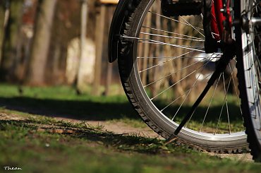 Rowerowo ... #koło #kwiaty #łąka #opona #rower