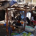 Senegal