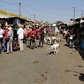 Senegal