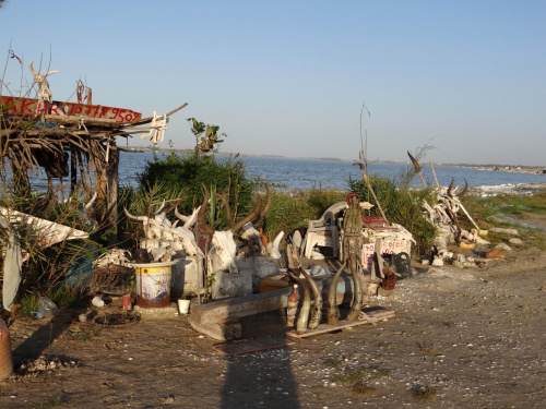 Senegal