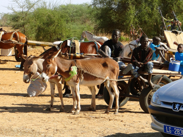 Senegal