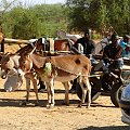 Senegal