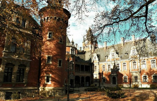 Pałac w Pławniowice