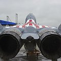 Mikoyan Gurevich MiG-29 UB
Poland - Air Force
