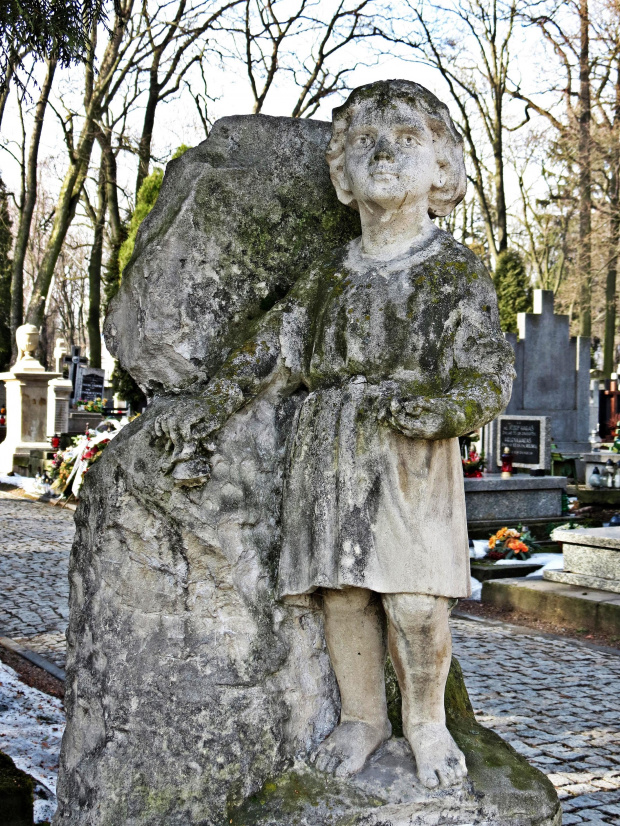 Cmentarz przy Lipowej.