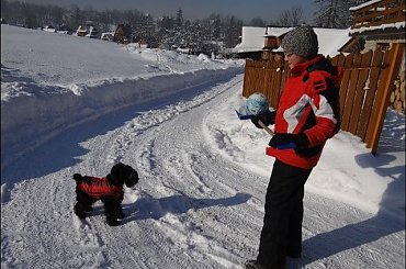 #góry #podróże #sznaucer #Zakopane #zima