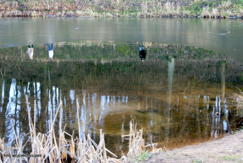 Park Połczyn Zdrój