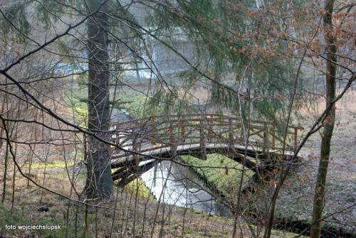 Park Połczyn Zdrój