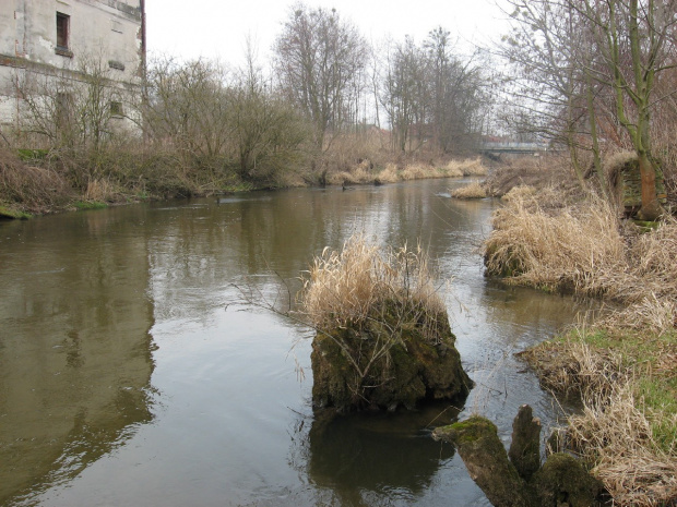 Eletrownia wodna na rzece Wieprz w Michalowie, widok na rzekę Wieprz #Michalów #ElektrowniaWodna #Wieprz