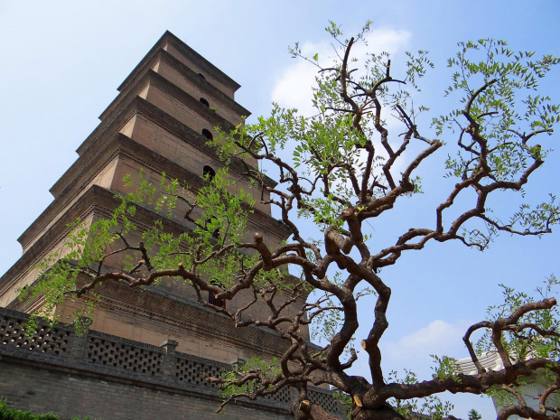 Xian - Pagoda Dzikiej Gęsi. #Chiny