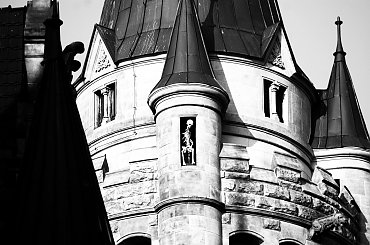 Pałac, Moszna, konie, inne, #inne #konie #Moszna