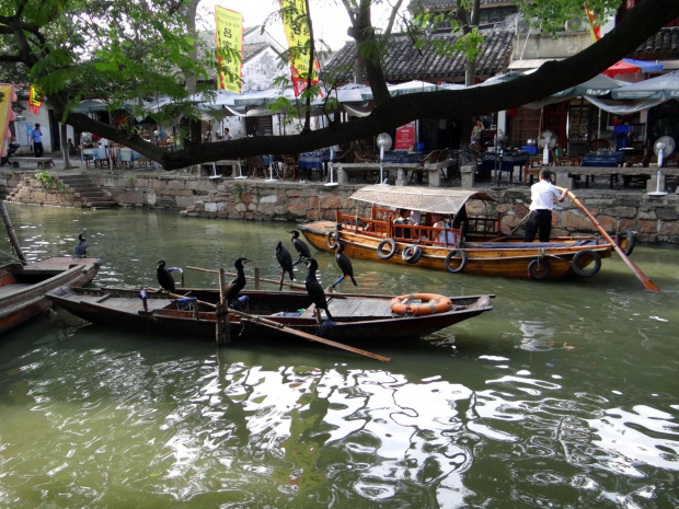 Tongli. Miasteczko na wodzie #Chiny