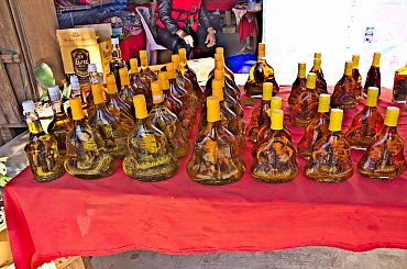 Wężowe trunki na bazarze w Laosie #azja #tajlandia #laos #alkohol #wąż