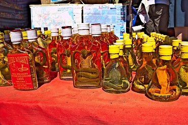 Wężowe trunki na bazarze w Laosie #azja #tajlandia #laos #alkohol #wąż