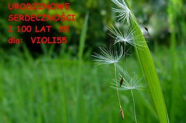 Radości i zdrowia we wszystkich dniach życia, spełnienia marzeń najskrytszych, gwiazdki z nieba i rumieńców na twarzy. Niech Cię usypia światło księżyca i szum wiatru za oknem. WSZYSTKIEGO NAJLEPSZEGO !!! **** ulub. viola55 **** #dmuchawce #łąka #urodziny