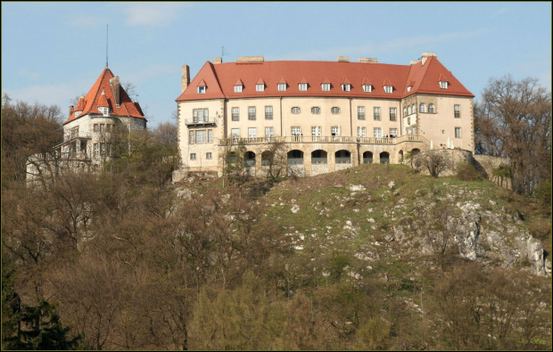 Pałac w Przegorzałach