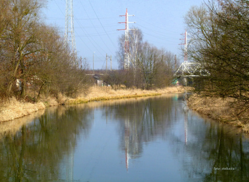 rzeka Kłodnica ... tutaj jeszcze wiosny nie widać ...i kaczorka mandarynka w tym roku też nie spotkałam ((: