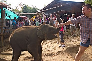 Zabawy z maluchem #azja #słoń #tajlandia