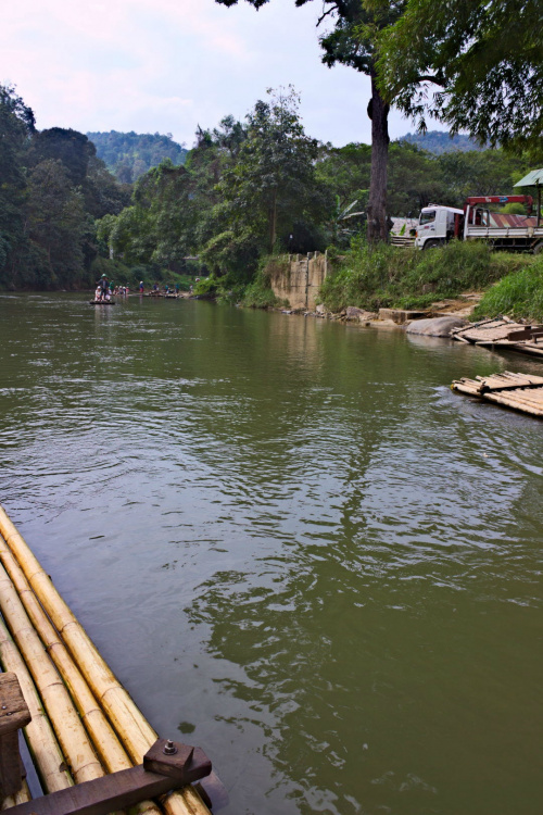 Tratwą po tropikalnej rzece Mae Taeng #azja #słoń #tajlandia