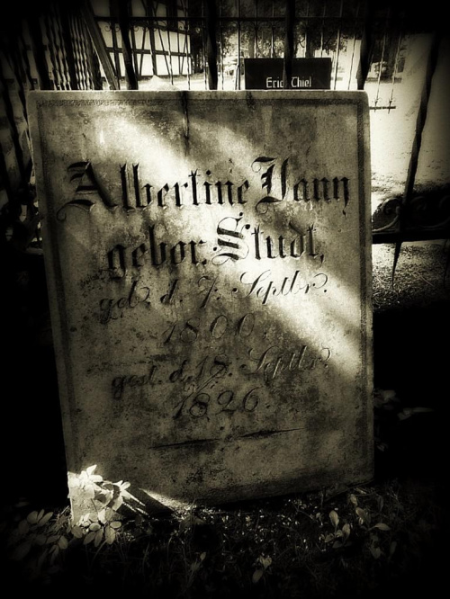 Zabytkowy cmentarz ewangelicki przy Kościele Pokoju w Świdnicy, wpisanym na Listę Światowego Dziedzictwa Kultury UNESCO. Cmentarz funkcjonował w latach 1654-1957. #cmentarz #DolnyŚląsk #KościółPokoju #Schweidnitz #Świdnica #zabytki #UNESCO