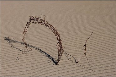 Wyplątanie #Kołobrzeg #plaża