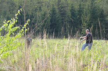 Poszukiwanie Goliata #goliath #rygielpisz