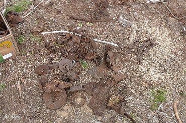 Poszukiwanie Goliata #goliath #rygielpisz