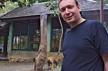 Z wizyta u tygrysów #azja #tajlandia #tygrys #tygrysy