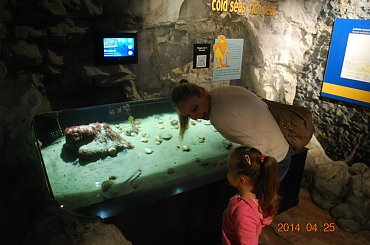 Boulogne - Francja #Berk #Boulogne #francja