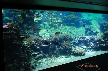 Boulogne - Francja #Berk #Boulogne #francja