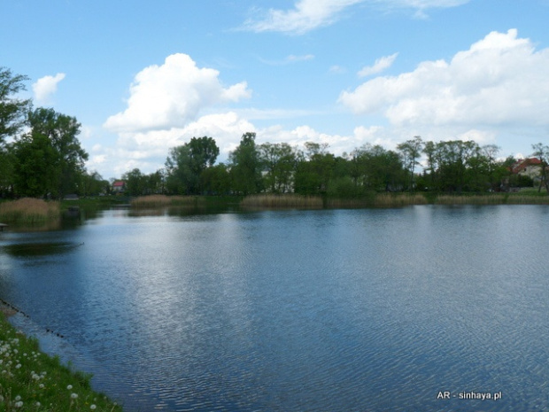 Park Cietrzewia - Warszawa Włochy