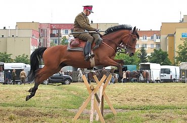 XIV Piknik Kawaleryjski w Suwałkach, 14-15.VI.2014 #kawaleria #konie #koń #PiknikKawaleryjski #Suwałki #ułani