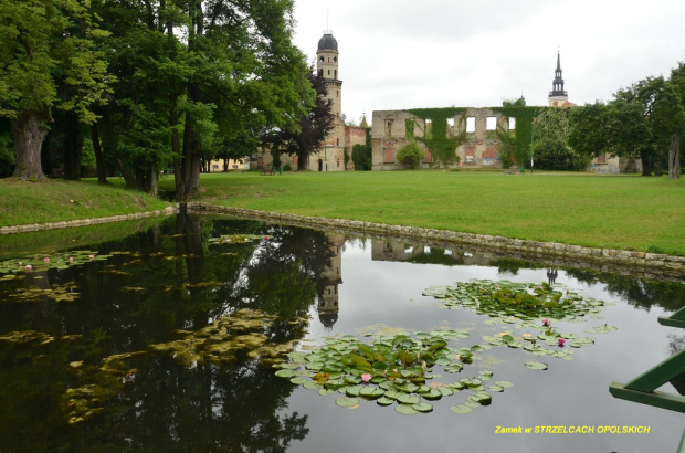 Strzelce Opolskie