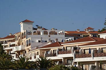 Wulkaniczna wyspa na Atlantyku, pełna kwiatów i zieleni. #Atlantic #Atlantyk #island #ocean #Teneriffe #Teneryfa #volcano #wulkan #wyspa