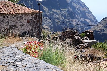 Wulkaniczna wyspa na Atlantyku, pełna kwiatów i zieleni. #Atlantic #Atlantyk #island #ocean #Teneriffe #Teneryfa #volcano #wulkan #wyspa