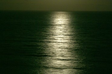 Wulkaniczna wyspa na Atlantyku, pełna kwiatów i zieleni. #Atlantic #Atlantyk #island #ocean #Teneriffe #Teneryfa #volcano #wulkan #wyspa