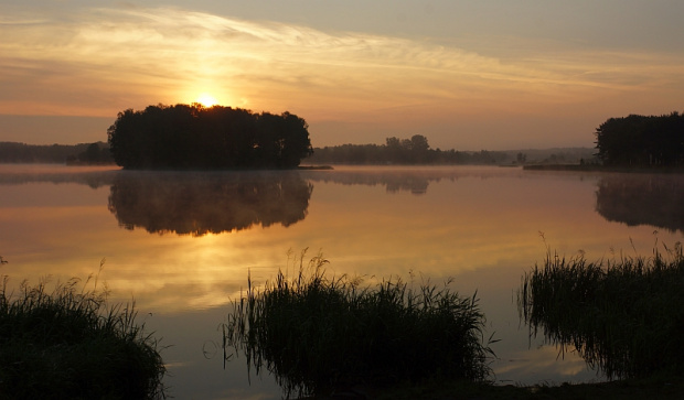 SIELPIA/ŚWIĘTOKRZYSKIE