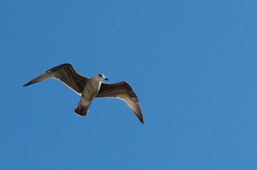 Kochani, pozdrawiam z Mielna :) jeszcze cieszę się urlopem ... 'uciekliśmy' z Sarbinowa do Mielna :) #Mielno #morze #plaża #Unieście #wakacje