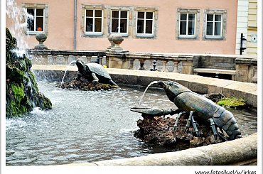 Gotha #Friedensstein #Gotha #Niemcy #Schloss #Zamek