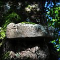 Beskid Niski - Łemkowszczyzna - kamień z wyrytą nazwą nieistniejącej już wsi Świerzowa Ruska
